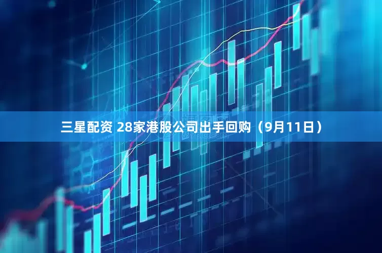三星配资 28家港股公司出手回购（9月11日）